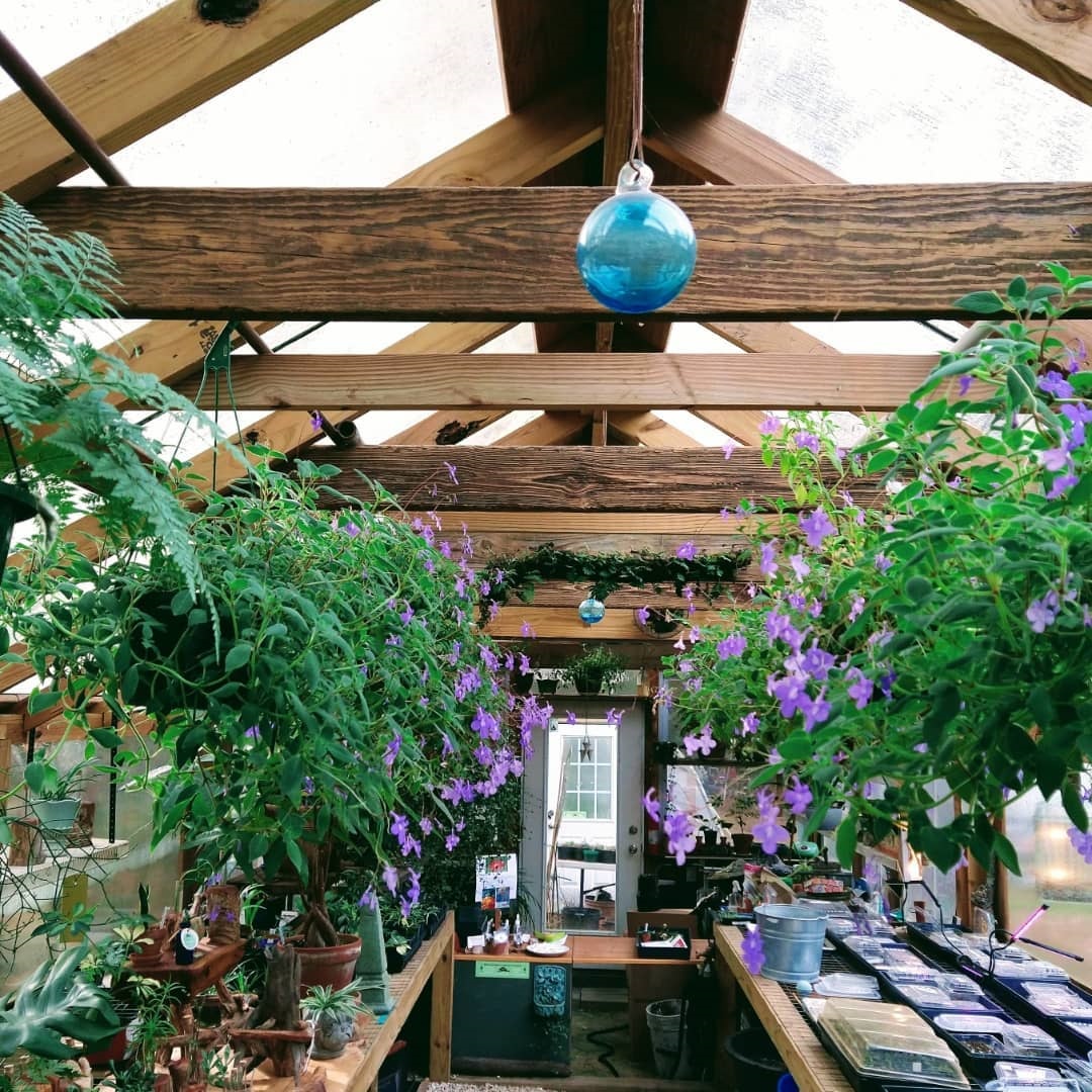 Meadowflower Farms 2.jpg