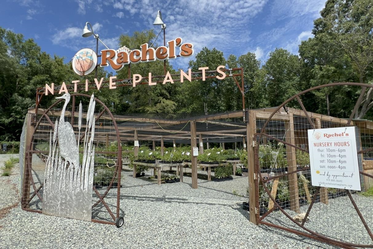 rachels native plants.jpg