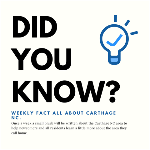 Did You Know Fun Facts Instagram Post.png